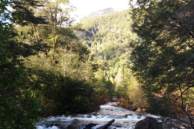 Trekking Huerquehue - What the Physical Challenge Really Means