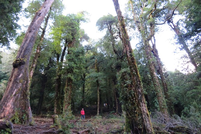 Trekking Huerquehue - What the $140 Price Includes