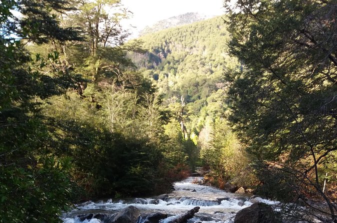 Trekking Huerquehue - Private Transport and Group Size