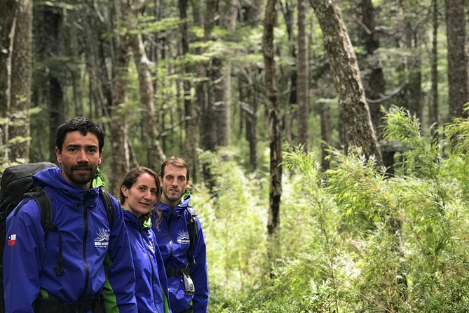 Trekking Mirador el volcano + Geometric hot springs - Should You Book It?