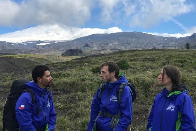 Trekking Mirador el volcano + Geometric hot springs - Forest, Araucarias, and the Volcano View