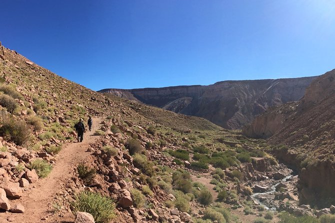 Trekking Rio Salado from San Pedro de Atacama - Key points to know before booking