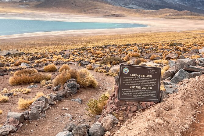 Triple Excursion: Red Stones, High Plains and Chaxa - Miscanti and Miñiques Lagoons at high altitude