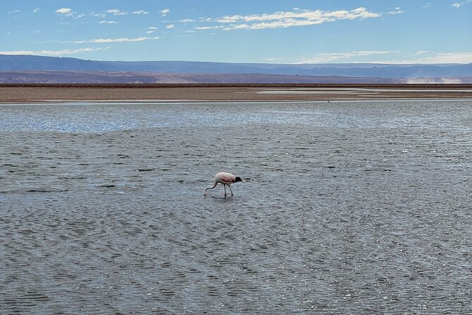 Triple Excursion: Red Stones, High Plains and Chaxa - Toconao and its stonework