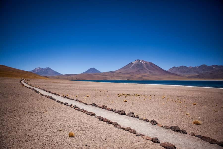Triple Tour: Piedras Rojas + Altiplanic Lagoons + Chaxa Lagoon - Key points to know before booking