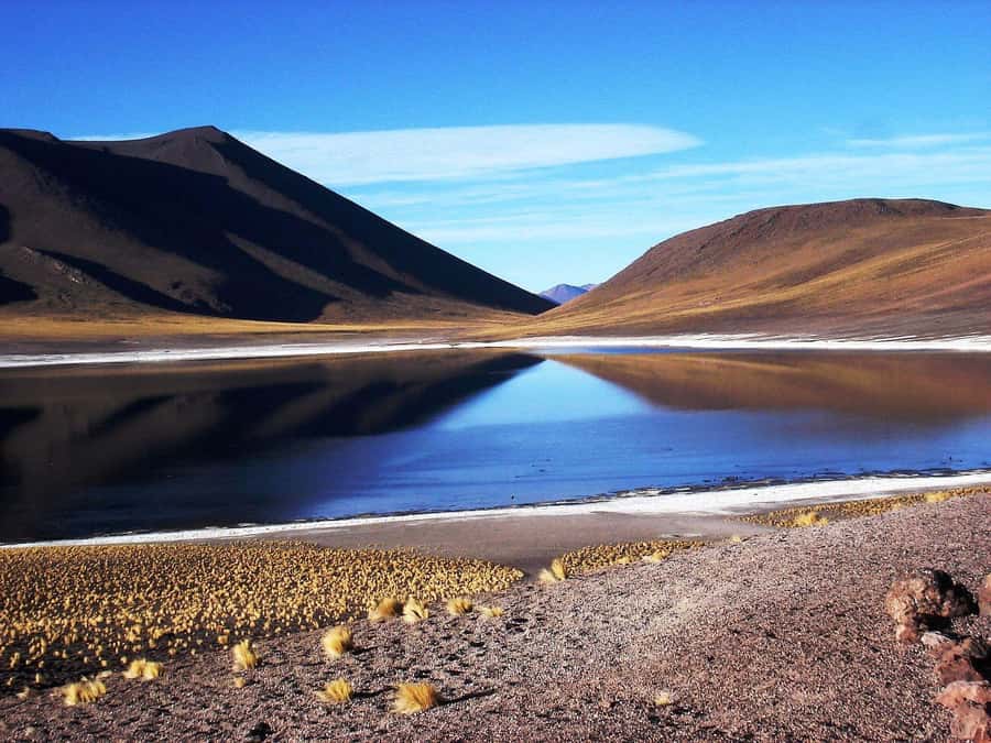 Triple Tour: Piedras Rojas + Altiplanic Lagoons + Chaxa Lagoon - Why this full-day route works