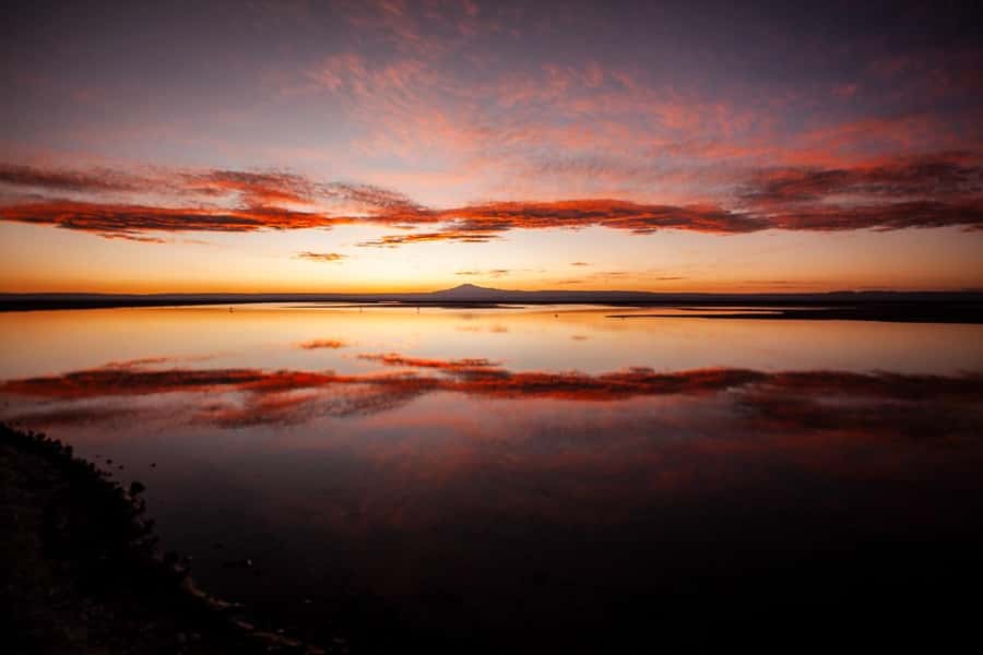 Triple Tour: Piedras Rojas + Altiplanic Lagoons + Chaxa Lagoon - The Tropic of Capricorn and the road south