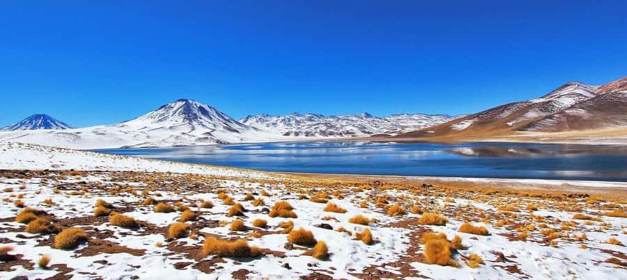 Triple tour: Red stones, highland lagoons and Chaxa Lagoon - Why this Atacama combination works so well