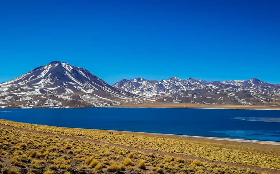 Triple tour: Red stones, highland lagoons and Chaxa Lagoon - Piedras Rojas and the high plateau’s red color