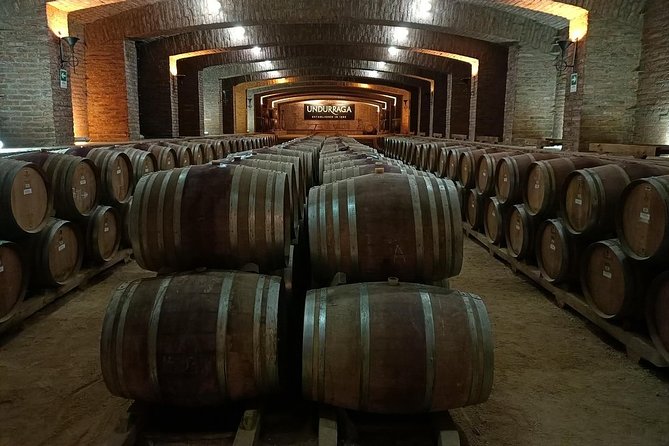 Undurraga Sibaris Tour Ticket - The Mapuche exhibition adds more than wine