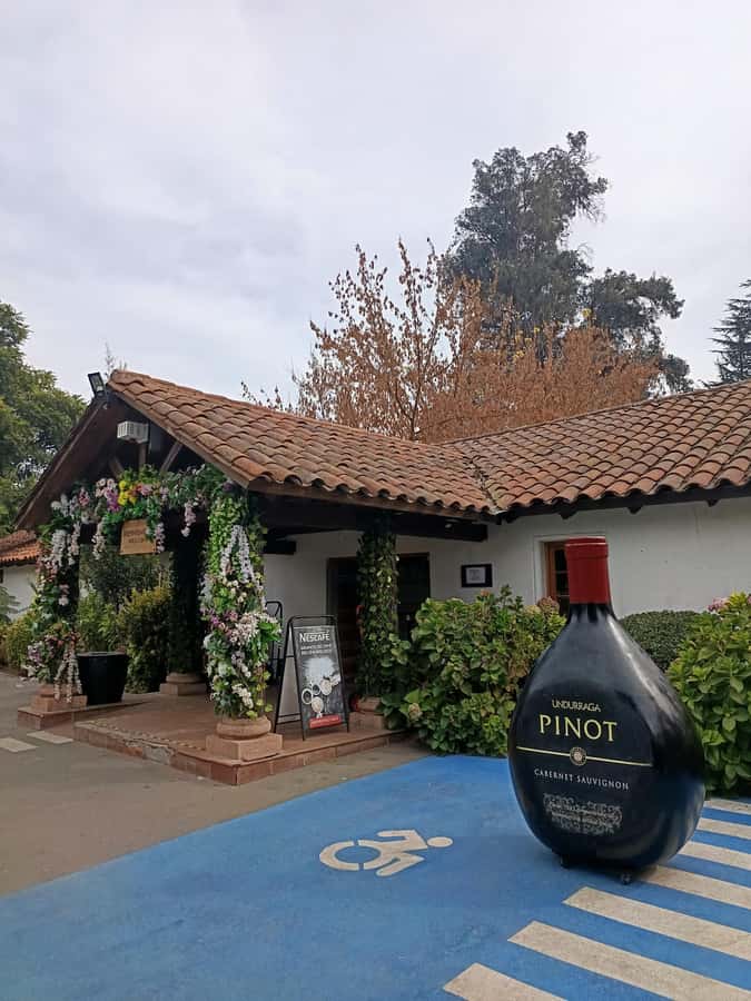 UNDURRAGA VINEYARD - Why Undurraga works well as a Santiago day trip