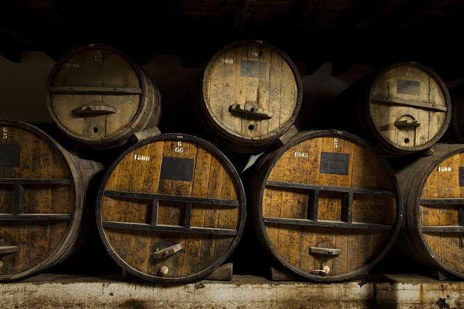 Undurraga Wine Tasting Tour from Santiago - Is $75 a Fair Price?