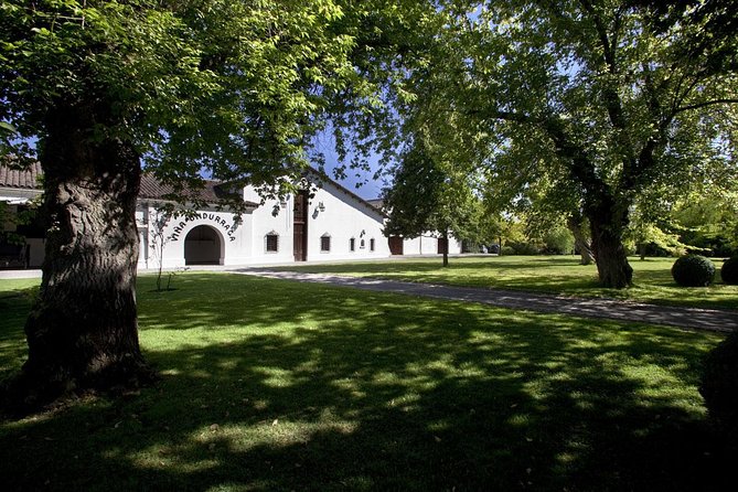 Undurraga Wine Tasting Tour from Santiago - Final Call: A Convenient First Taste of Chilean Wine