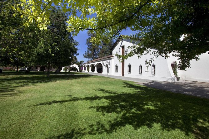 Undurraga Wine Tasting Tour from Santiago - From the Vinification Plant to the Underground Cellars