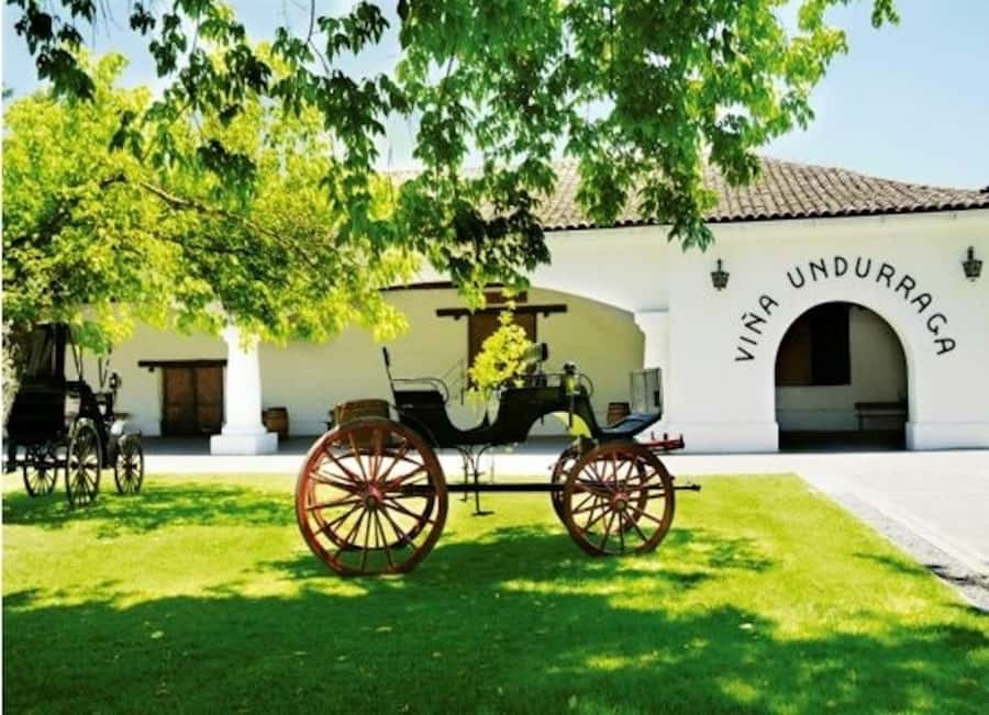 Undurraga Wine tour - Entering Undurraga’s vineyard grounds
