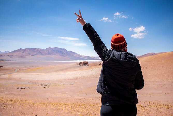 Unique Tour of 5 Days in San Pedro de Atacama - Day 1: salt lagoons and an Atacama night sky