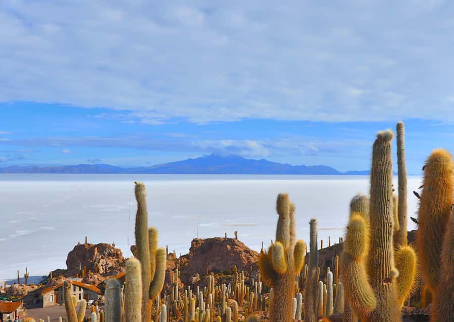UYUNI SALT FLAT 3DAYS/2NIGHTS-CLASSIC TOUR FROM UYUN-BOLIVIA - Key points at a glance