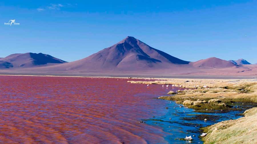 UYUNI SALT FLAT 3DAYS/2NIGHTS-CLASSIC TOUR FROM UYUN-BOLIVIA - A few practical ways to prepare