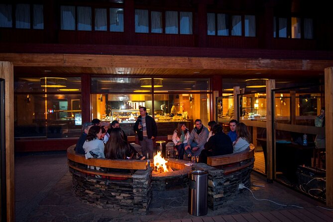Valle Nevado & Farellones Panoramic tour from Santiago - Transport, group size, and guide quality