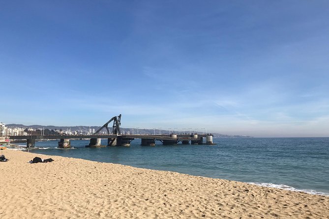 Valparaíso and Viña del Mar for 1 day - Who should choose this tour