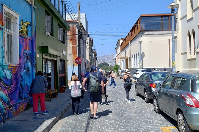 Valparaíso and Vina del Mar for Cruise Passengers in Private - Why this private port tour works well
