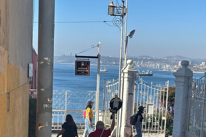 Valparaíso and Vina del Mar for Cruise Passengers in Private - Moving on to Viña del Mar and the Flower Clock