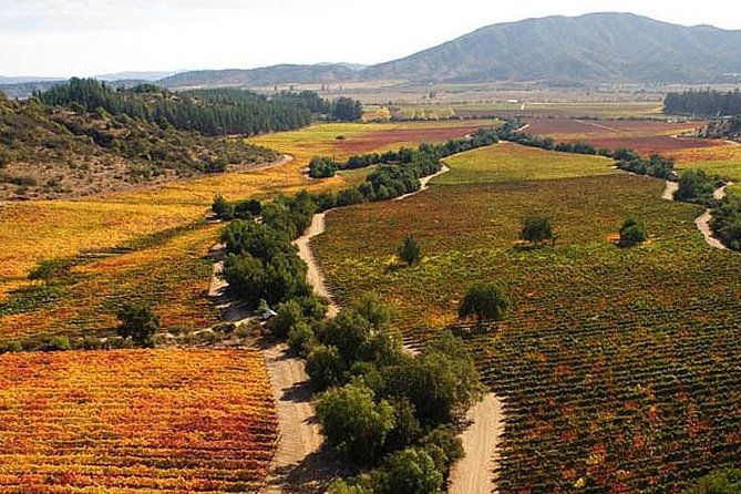 Valparaiso & Casablanca : Wine, Gastronomy and Living Culture - Why this pairing works from Santiago