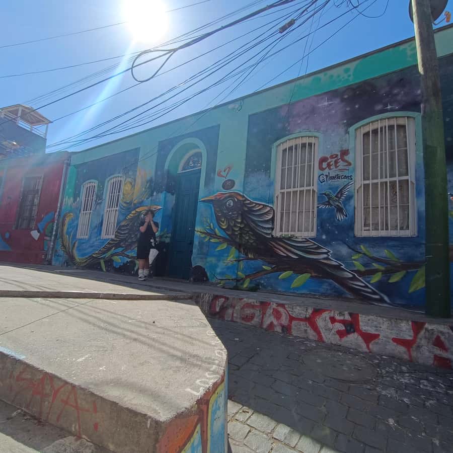 Valparaíso: city tour and ticket to the house of Pablo Neruda - A short public transport ride