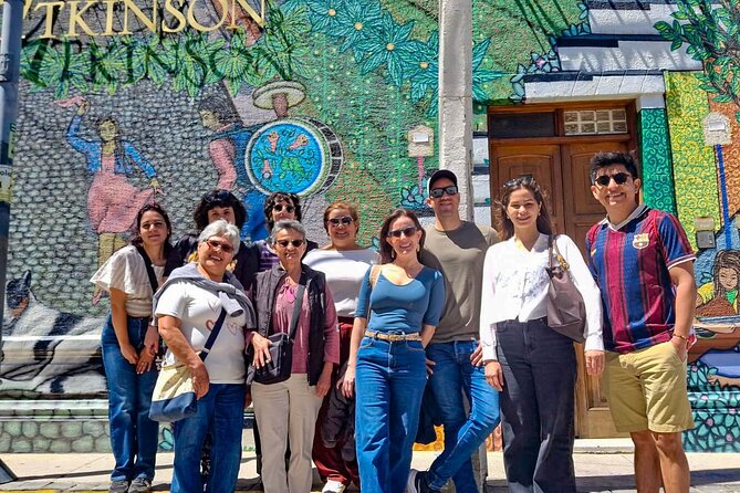 Valparaíso Cruise Port Transfer with Viña del Mar & Vineyard - Why this transfer works well for cruise passengers