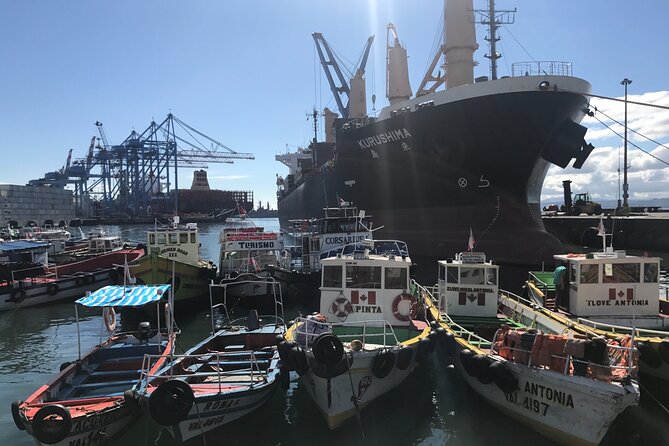 Valparaíso: Heritage, Art & Queer Culture Tour - Key points to know before you book