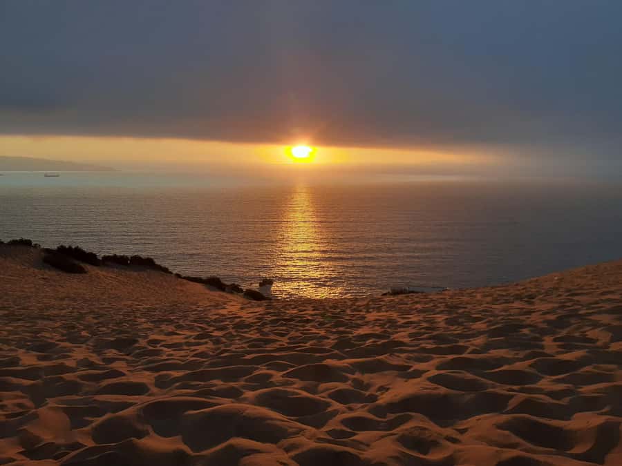 Valparaíso: Sandboarding and Sunset in Concon Sand Dunes - Key points to know before you go