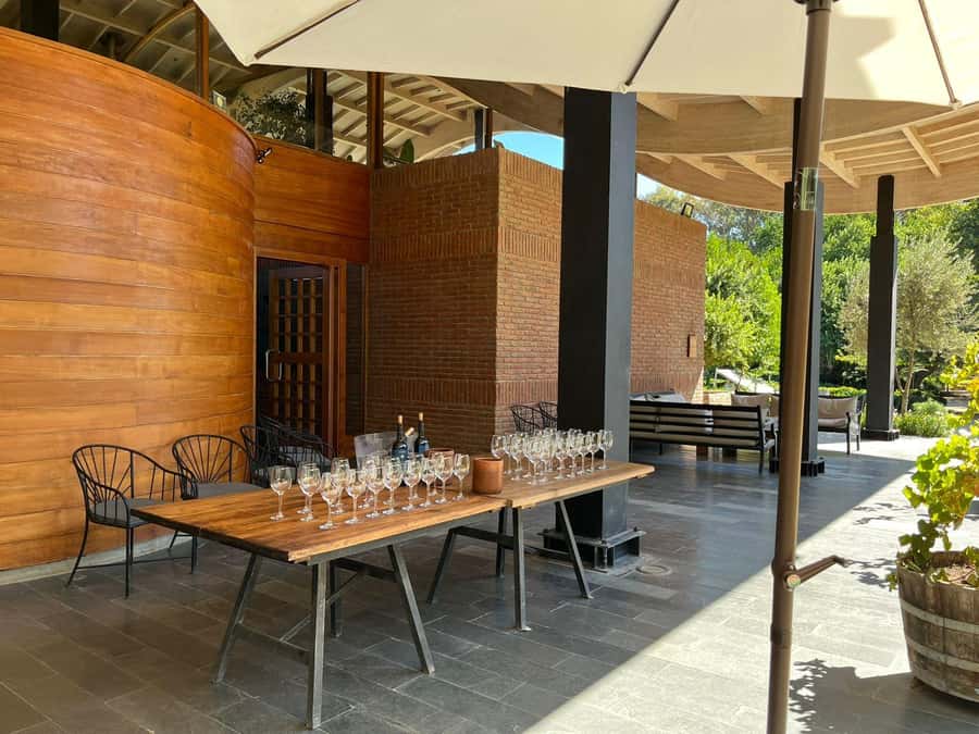 Valparaíso to Casablanca: wine tour with premium tasting and transportation - What makes this Casablanca wine tour worth considering