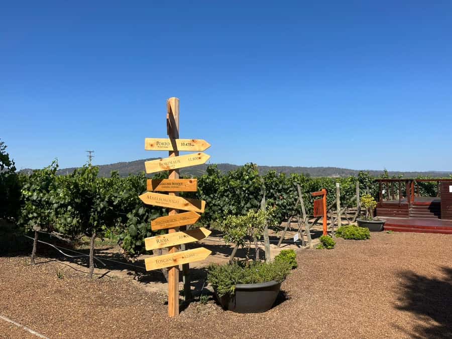 Valparaíso to Casablanca: wine tour with premium tasting and transportation - Leaving Valparaíso with a private ride