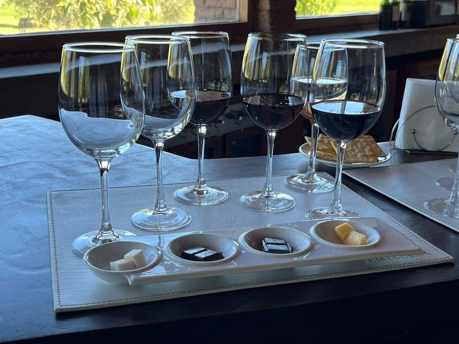 Valparaíso to Casablanca: wine tour with premium tasting and transportation - The 45-minute premium wine tasting