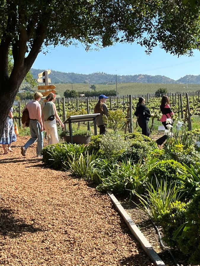 Valparaíso to Casablanca: wine tour with premium tasting and transportation - Who will enjoy this four-hour outing