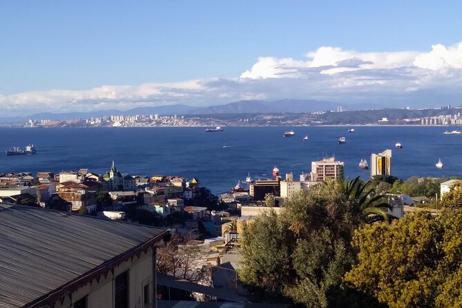 Valparaíso Viña & Casablanca Day Trip from Santiago (Max 7) - Caleta Portales brings you close to working Chile