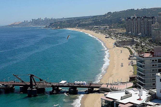 Valparaiso & Viña Del Mar, Museum & Lunch FROM STGO. Private Tour - Is $359 per person fair?