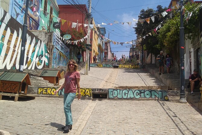 Valparaiso Walking tour from Santiago - Key points to know before booking