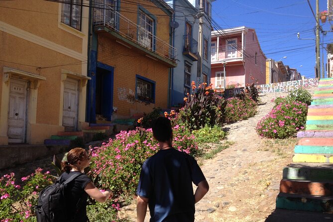 Valparaiso Walking tour from Santiago - Walking Cerro Concepcion and Cerro Alegre