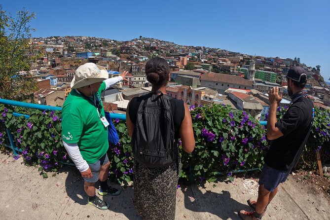 Valparaíso Walking Tour with a Local Expert and Lunch Included - Choosing between El Peral and Concepción