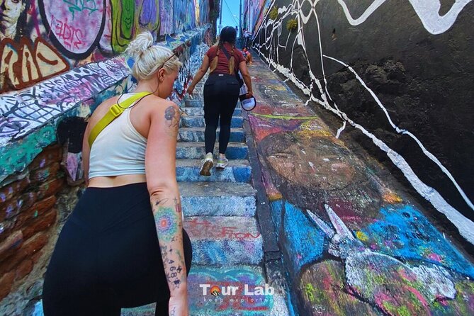 Valparaíso & Wine Tasting – Art, Culture & 5 Premium Wines - Key details at a glance