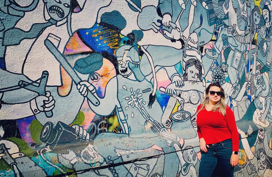 Valparaíso y Viña del Mar full day - Key points before you book