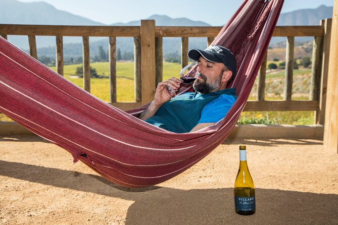Villard Winery with exclusive guide + Premium Transfer - Why Villard makes a good Santiago wine day