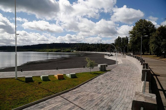Villarrica / Araucania Airport - Who will get the most from this transfer?