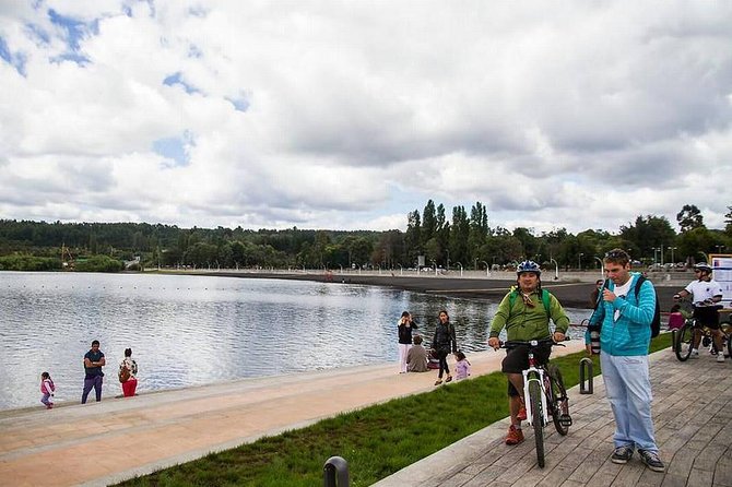 Villarrica / Araucania Airport - Booking, timing, and cancellation details