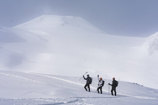 Villarrica Volcano Ascent - Zenit - Key points to know before booking