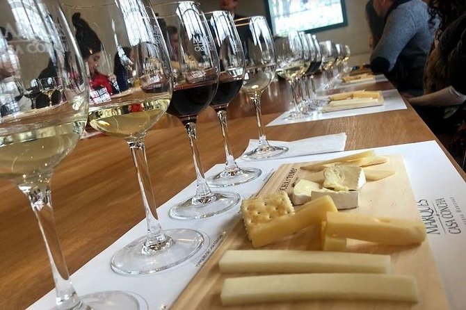 Viña Concha and Toro Tour (half day) - Why this winery visit works well from Santiago