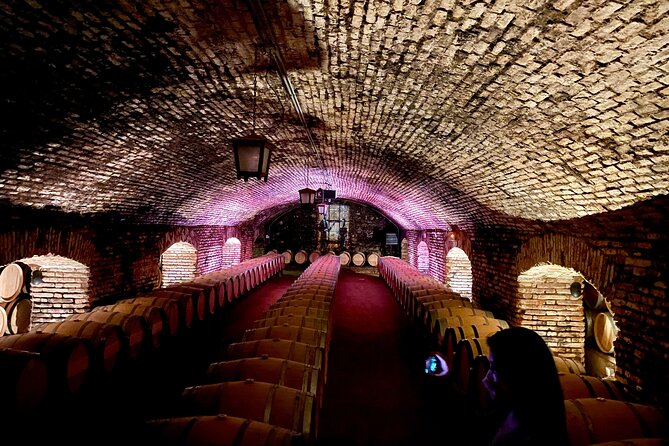 Viña Concha and Toro Tour (half day) - The two-hour Concha y Toro visit
