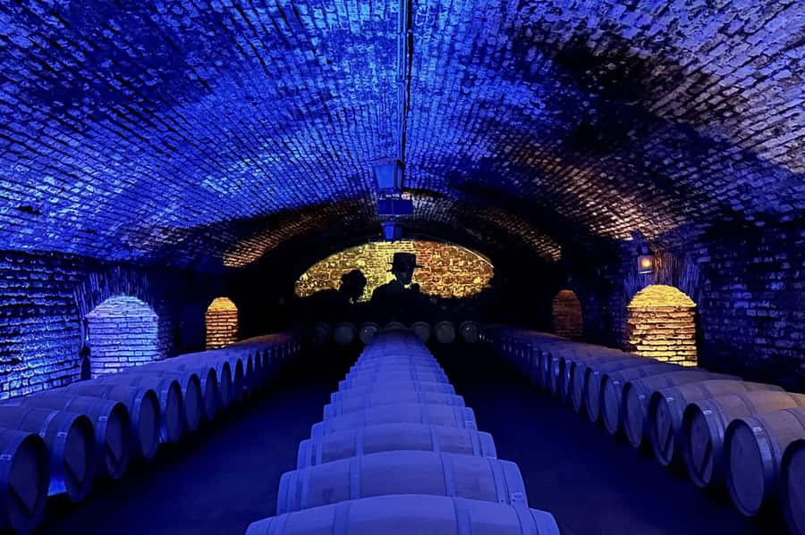 Viña Concha y Toro Nighttime: Dinner Show - What the five wine servings mean in practice