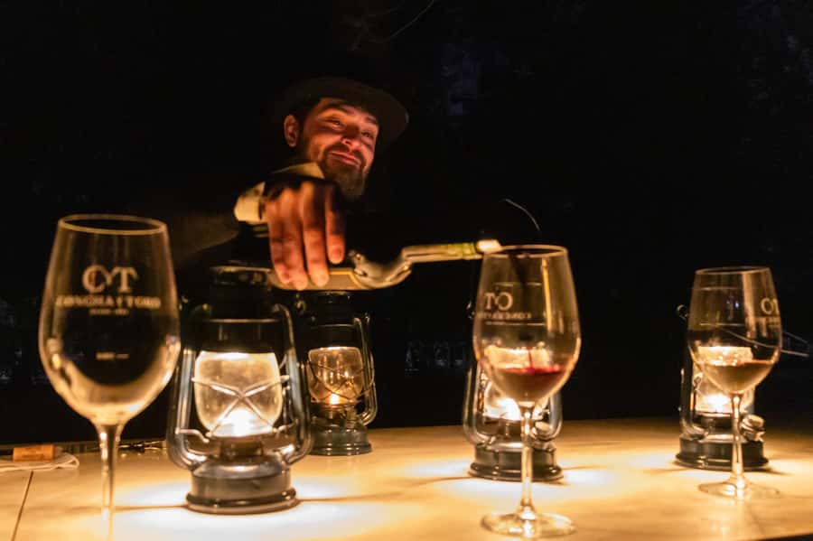 Viña Concha y Toro Nighttime: Dinner Show - Is $207 a fair price?